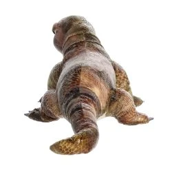 Realistic Stuffed Komodo Dragon 20 Inch Miyoni Plush By Aurora -Boutique Plush Toy Discount Store AR 26493 6