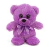 Purple Teddy Bear 6 Inch Rainbow Brights Bear By First And Main 2 Purple Teddy Bear 6 Inch Rainbow Brights Bear By First And Main -Boutique Plush Toy Discount Store BB 1486 2