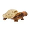 Speedy The Plush Tortoise By Douglas -Boutique Plush Toy Discount Store DG 4051 2