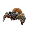 Brown Spider Stuffed Animal By Fiesta 1 Brown Spider Stuffed Animal By Fiesta -Boutique Plush Toy Discount Store FA A08180 2