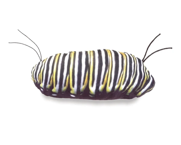 Full Body Monarch Life Cycle Puppet By Folkmanis Puppets 4 Full Body Monarch Life Cycle Puppet By Folkmanis Puppets - Image 2