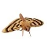 Lifelike Moth Stuffed Animal By Hansa -Boutique Plush Toy Discount Store HN 6553 2