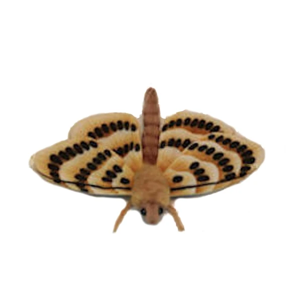 Lifelike Moth Stuffed Animal By Hansa 4 Lifelike Moth Stuffed Animal By Hansa - Image 2